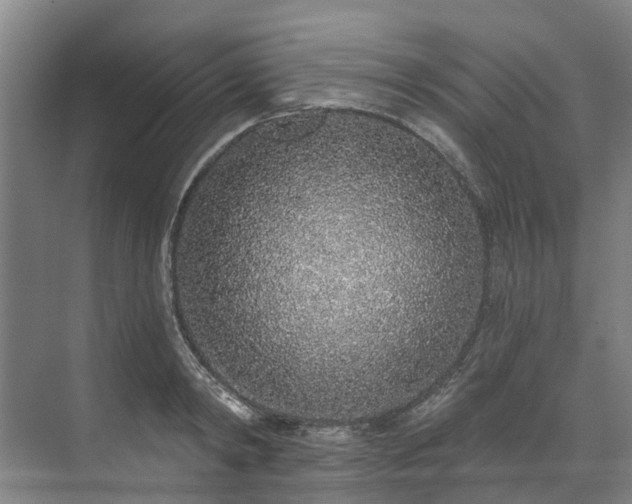 X0000071770798200607071300