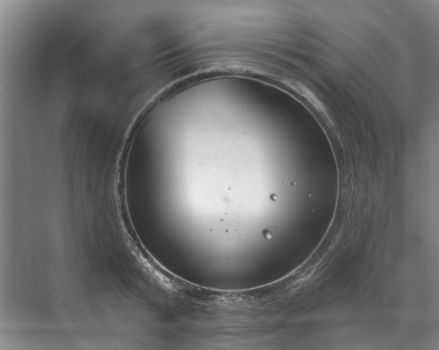 X0000071770799200607071300