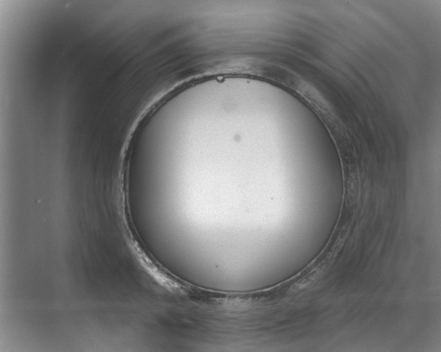 X0000071770800200607071300