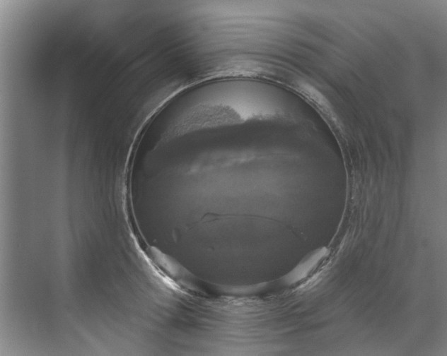 X0000071770802200607071300