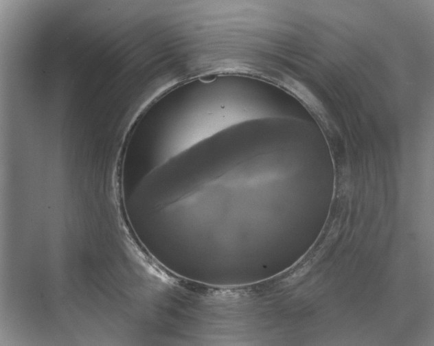 X0000071770806200607071300