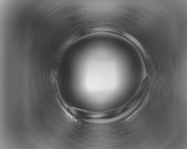 X0000071770809200607071300