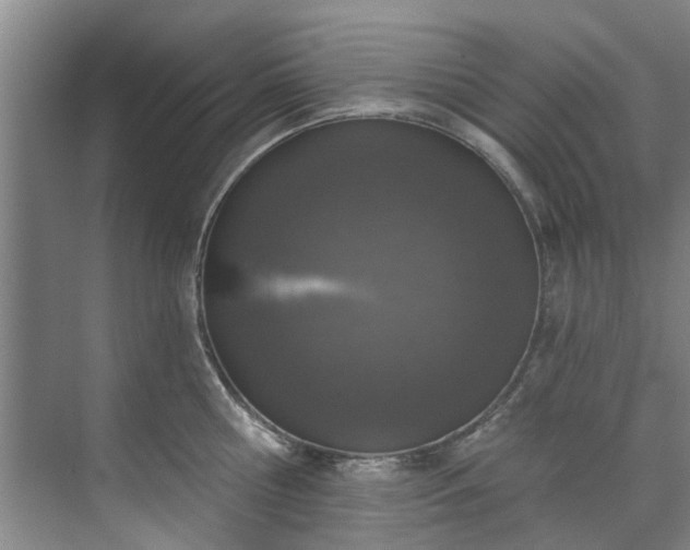 X0000071770810200607071300