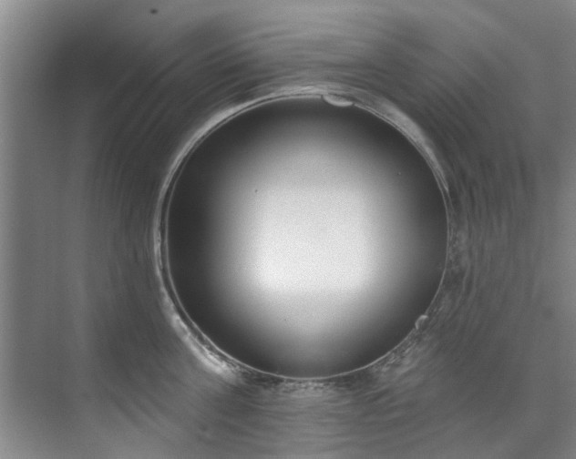 X0000071770811200607071300