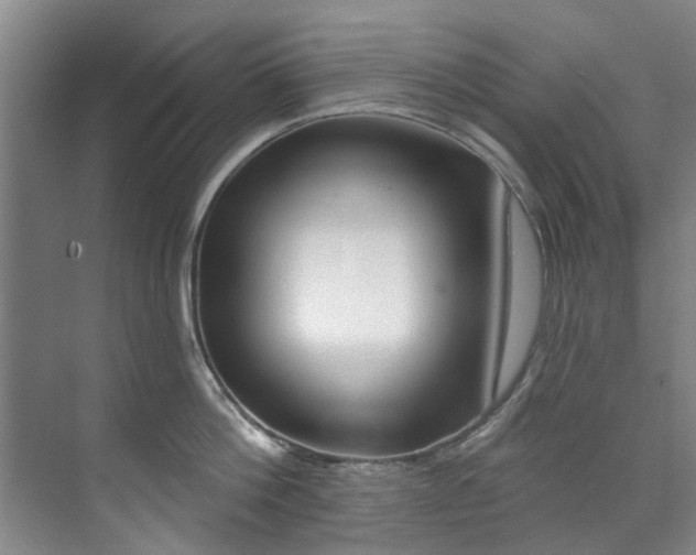 X0000071770812200607071300