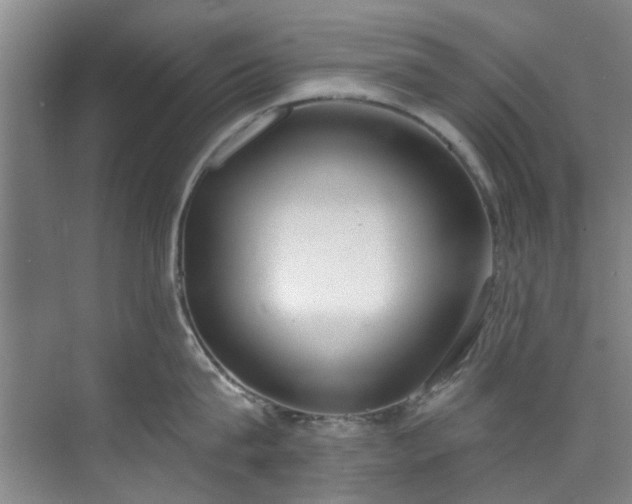 X0000071770815200607071300