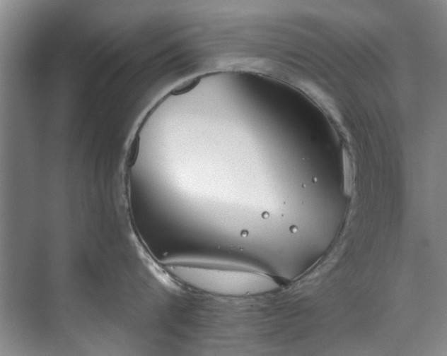 X0000071770816200607071300