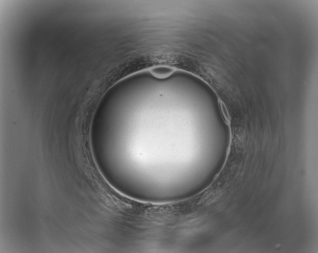 X0000071770817200607071259