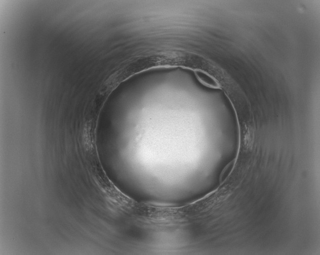 X0000071770819200607071259