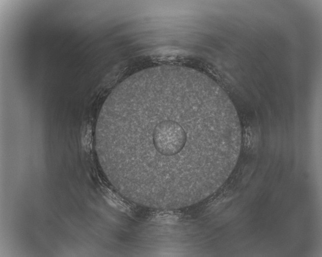 X0000071770820200607071259