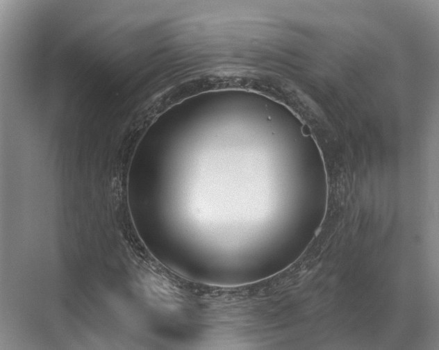 X0000071770821200607071259