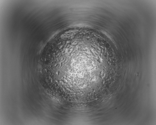 X0000071770823200607071259