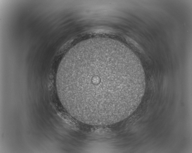 X0000071770824200607071259