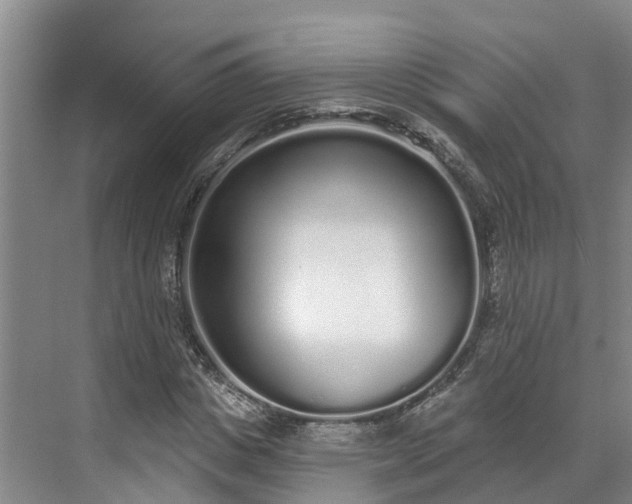 X0000071770825200607071259