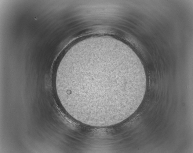 X0000071770828200607071259