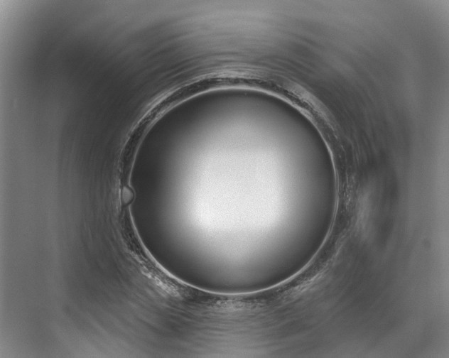 X0000071770829200607071259