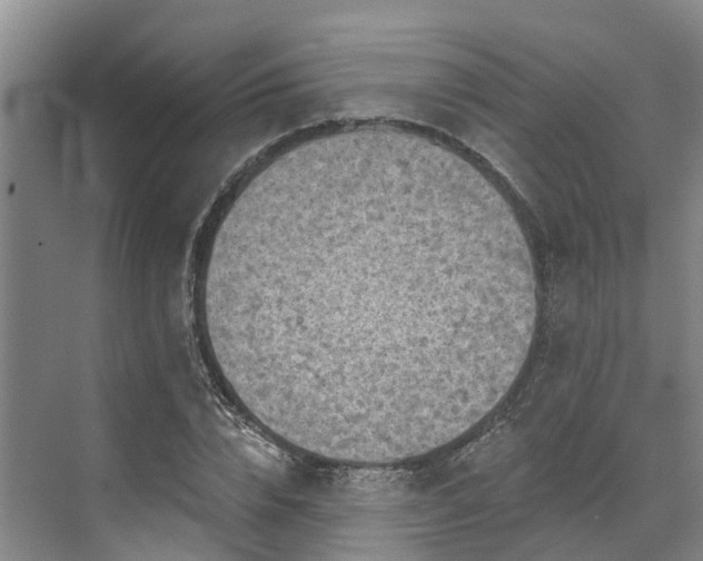 X0000071770832200607071259