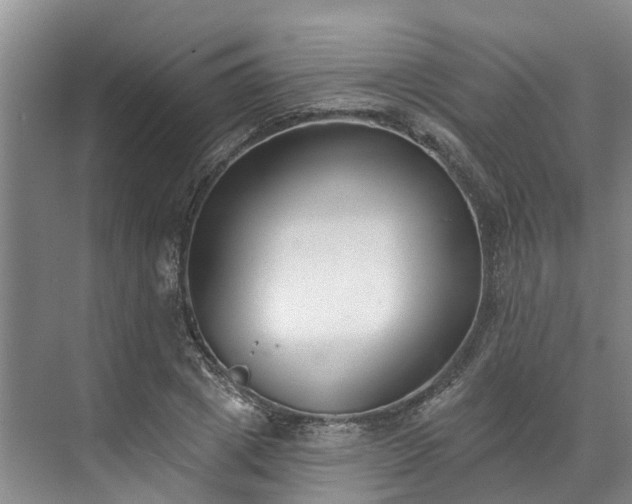 X0000071770833200607071259