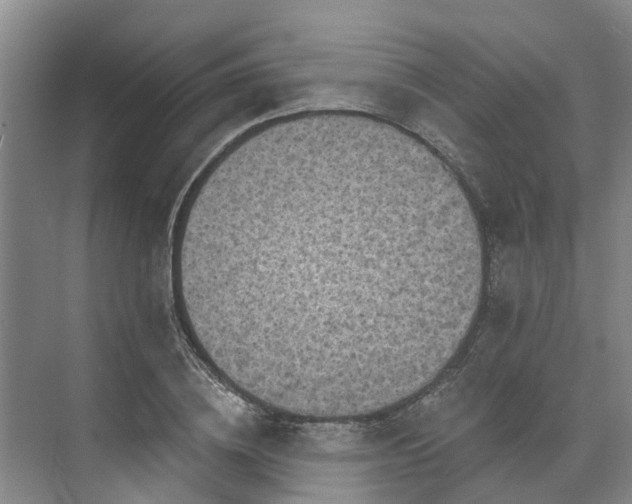 X0000071770836200607071259