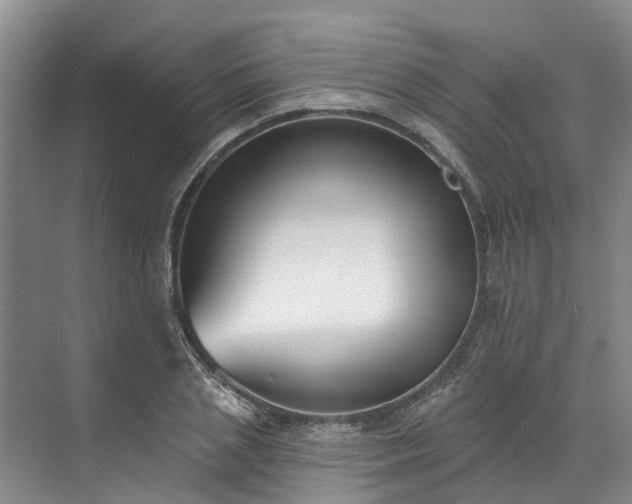 X0000071770837200607071259