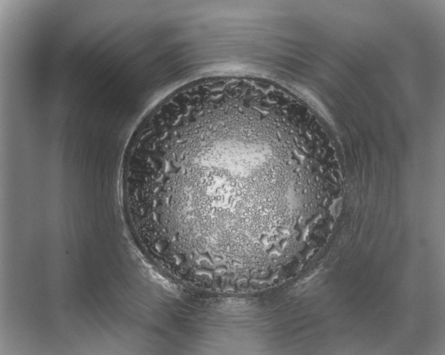 X0000071770839200607071259