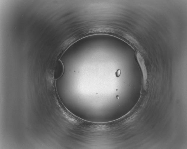 X0000071770841200607071259