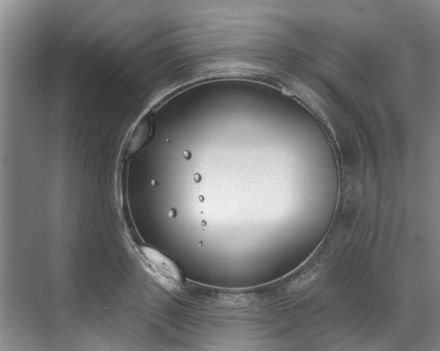 X0000071770843200607071259