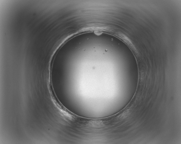 X0000071770844200607071259