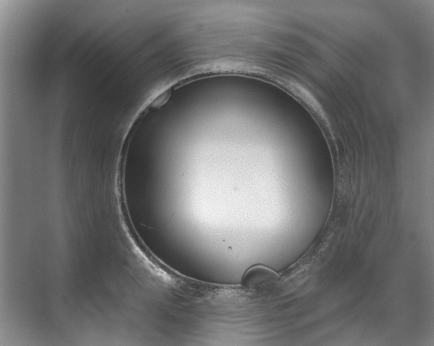 X0000071770847200607071300