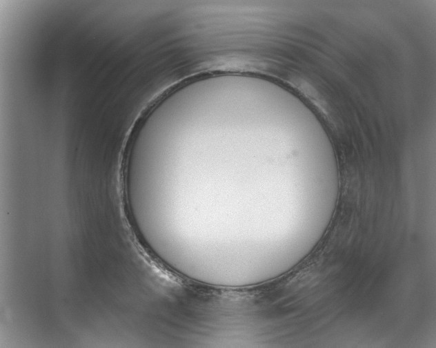 X0000071770848200607071300