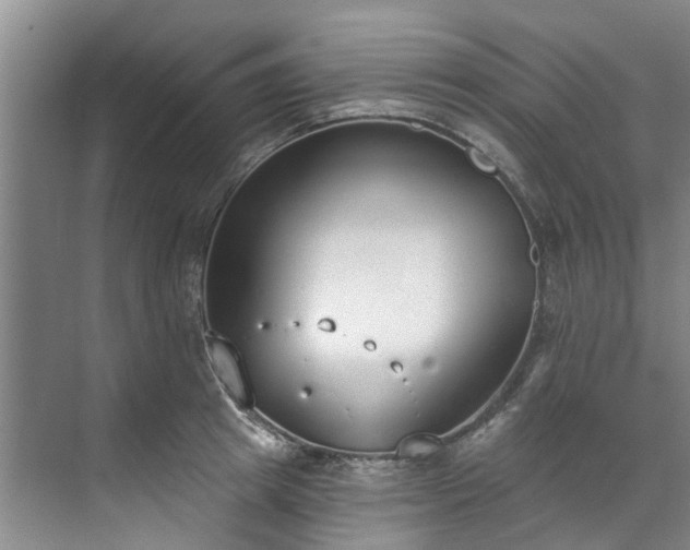 X0000071770849200607071300