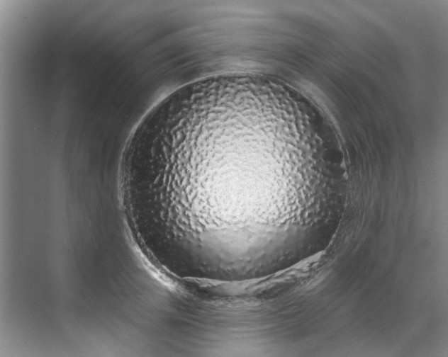 X0000071770851200607071300