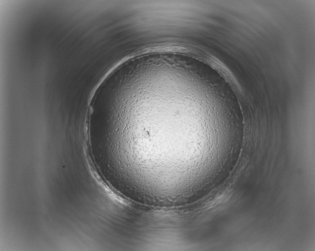 X0000071770852200607071300