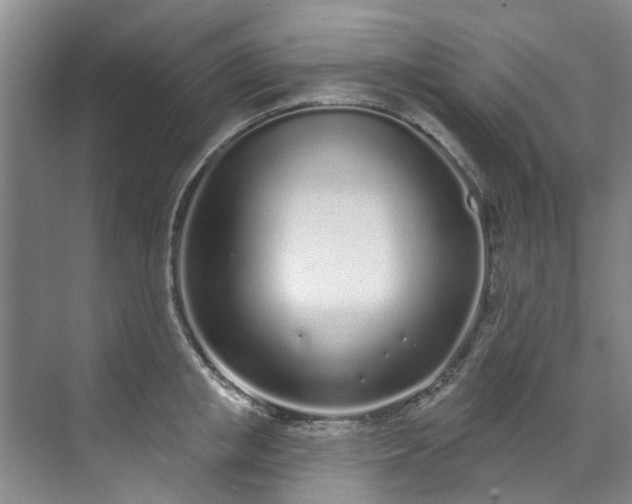 X0000071770853200607071300