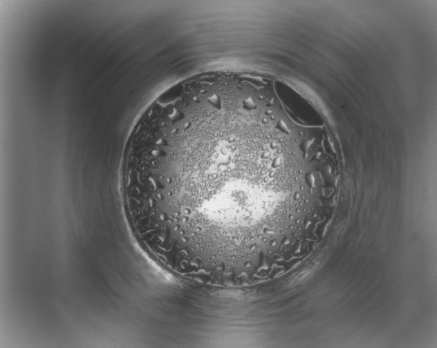 X0000071770855200607071300