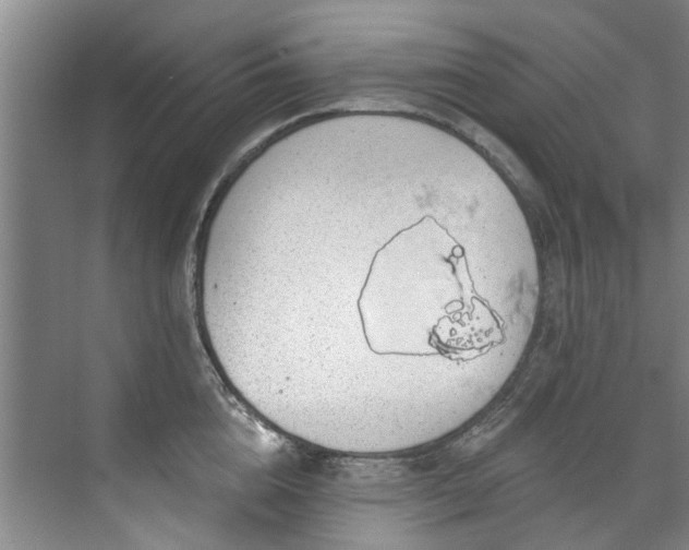 X0000071770856200607071300