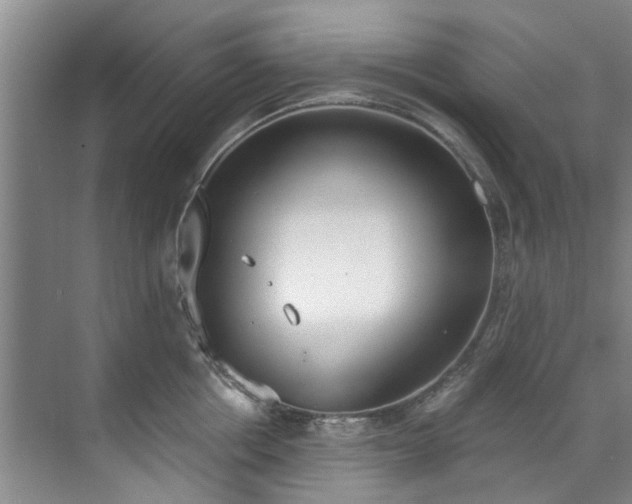 X0000071770858200607071300