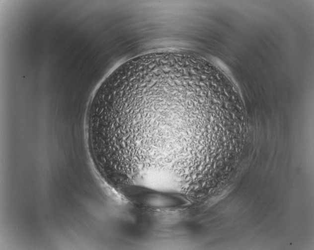 X0000071770859200607071300