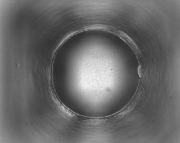 X0000071770860200607071300