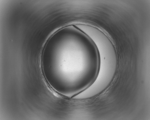 X0000071770862200607071300