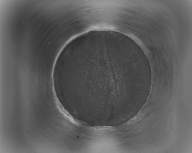 X0000071770864200607071300