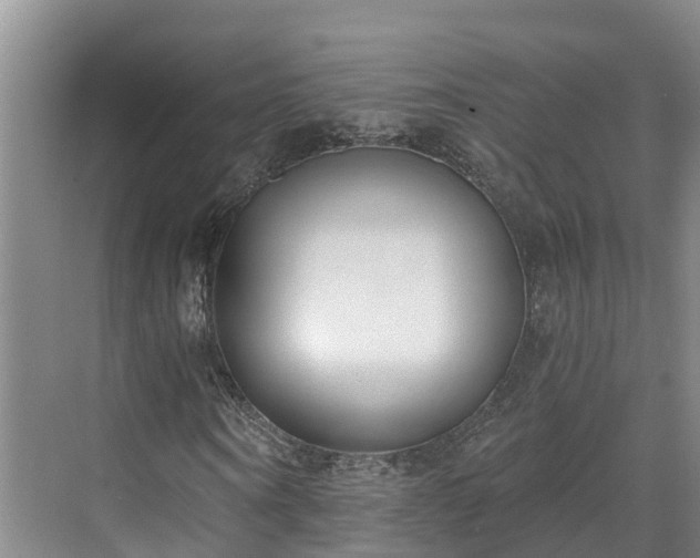 X0000071770866200607071259