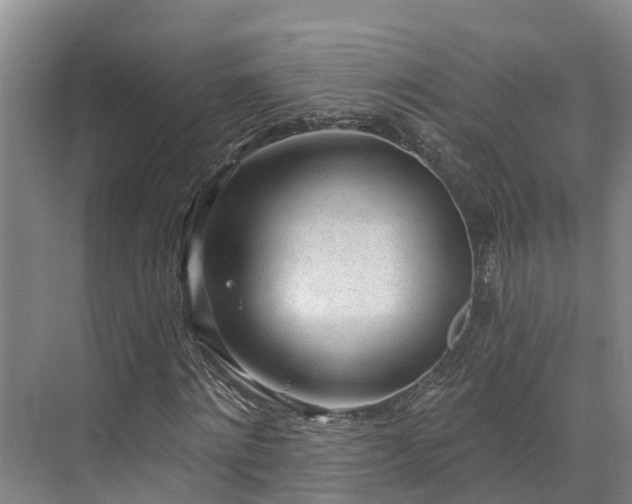 X0000071770868200607071259