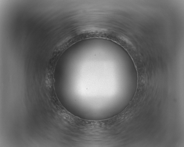 X0000071770869200607071259