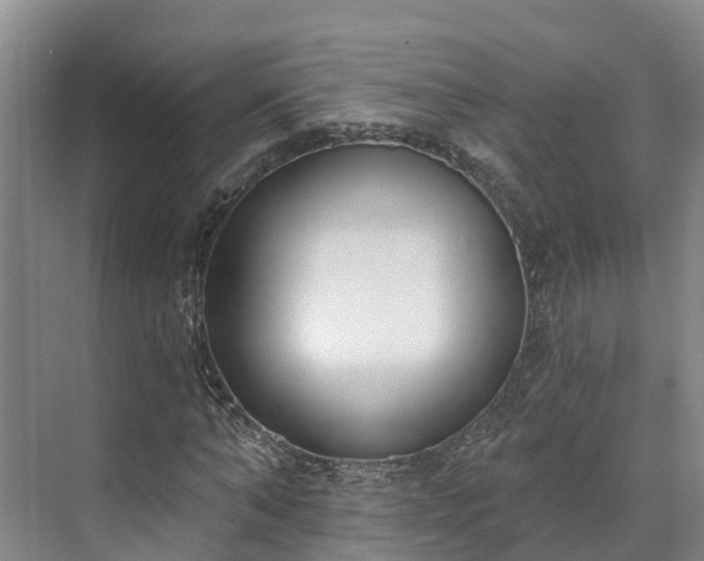 X0000071770870200607071259