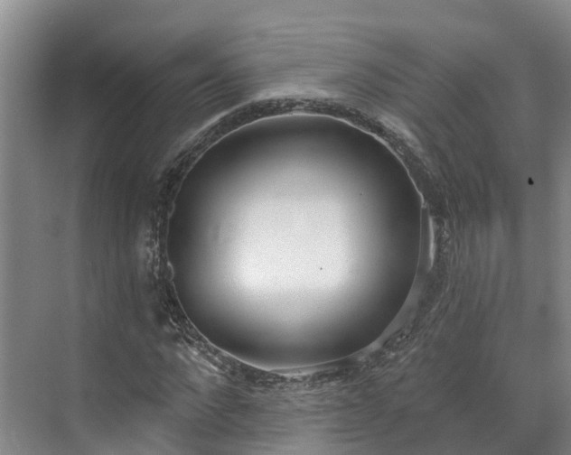 X0000071770872200607071259