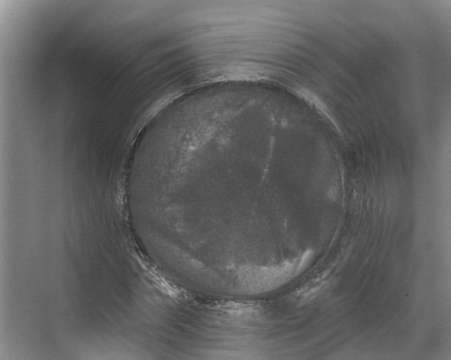 X0000071770874200607071259