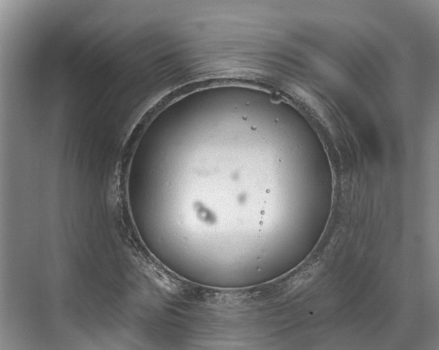 X0000071770875200607071259