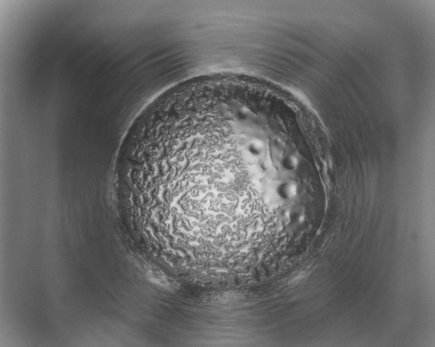 X0000071770879200607071259