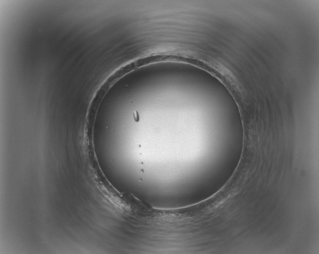 X0000071770880200607071259